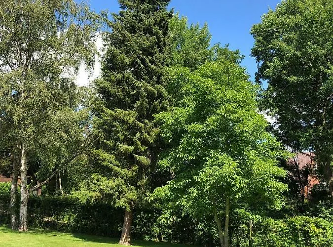 Nyaraló Baek-ratzeburg Bak